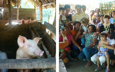 Varkenshouderij, AF-UG-46/E, Uganda