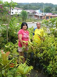 Inkomsten genereren door betere verkoopmogelijkheden van zelfgemaakte plantaardige producten, LA-SV-7/E
