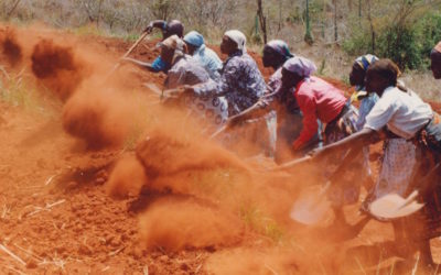 Konijnenfokkerij in Benin, AF-BJ-1/E