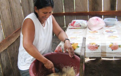 Bereiding van gekonfijte vruchten met als basisgrondstof kokos, Ecuador, LA-EC-5/E
