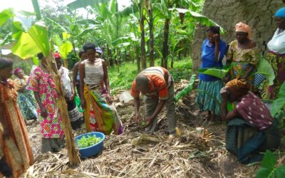 Varkenshouderij en moestuin voor 25 slechthorende vrouwen, AF-UG-48/E, Uganda
