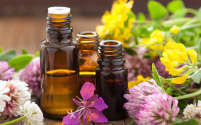 Productie van natuurlijke verzorgingsproducten, LA-GT-5/E, Guatemala