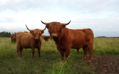 Hulde aan onze donateurs! Op 17 maart 2017 is er een bedrag van €1.725 gestort!