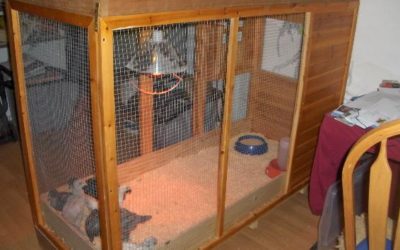 Kwartelhouderij, AF-UG-58/E, Uganda