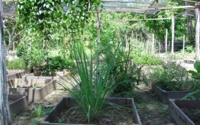 Ecologische landbouw voor Náhuatl Pipil vrouwen + familietuinen, LA-SV-10-E, El Salvador