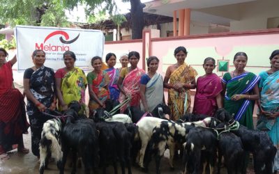 Leiderschapstraining voor vrouwen (India)