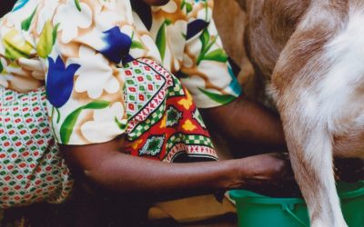 Vrijwilliger financiële administratie