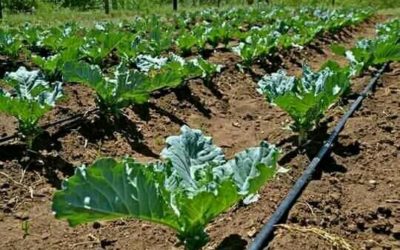 Irrigatie op zonne-energie