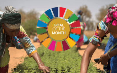 November: Zero Hunger