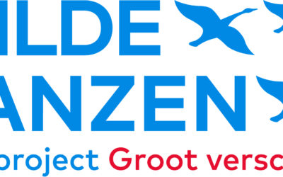 Wilde Ganzen vliegen voor Melania