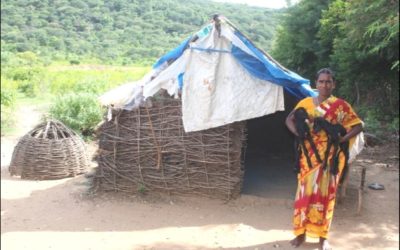 Mooi verslag uit India