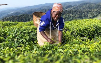 Ishara – Lokroep van de Roepi-Roepi vogel…