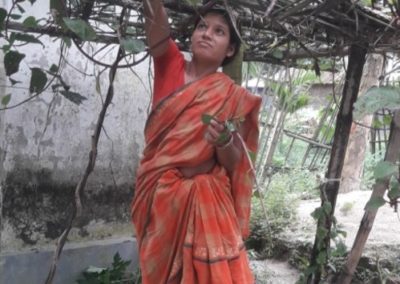 Bangladesh (01) – Tuinbouwproductie Dalitvrouwen – sponsorbijdrage AFAS