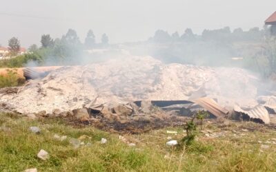 Leeggeroofd en in brand gestoken