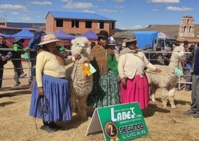 Bolivia (18) – Lama’s – sponsoren gezocht voor 3.415 euro