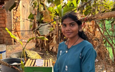 Ondernemen in honing